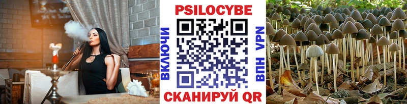 Галлюциногенные грибы Psilocybine cubensis  Северо-Курильск 